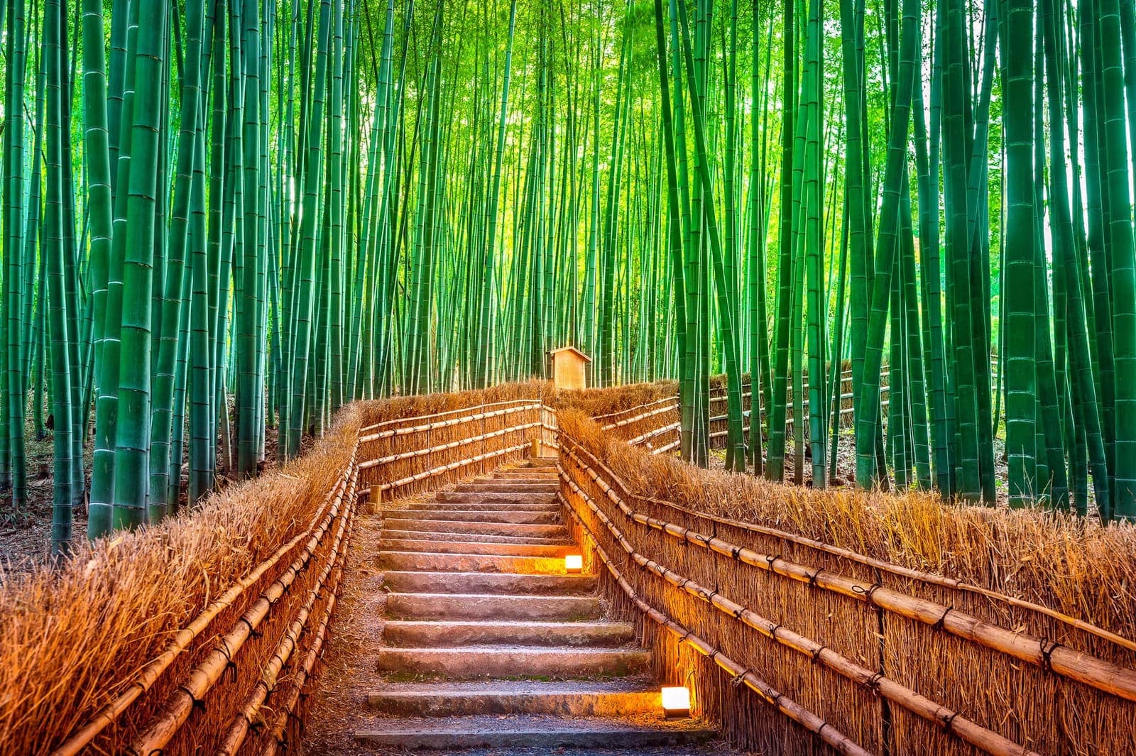 Kyoto (Kobe)