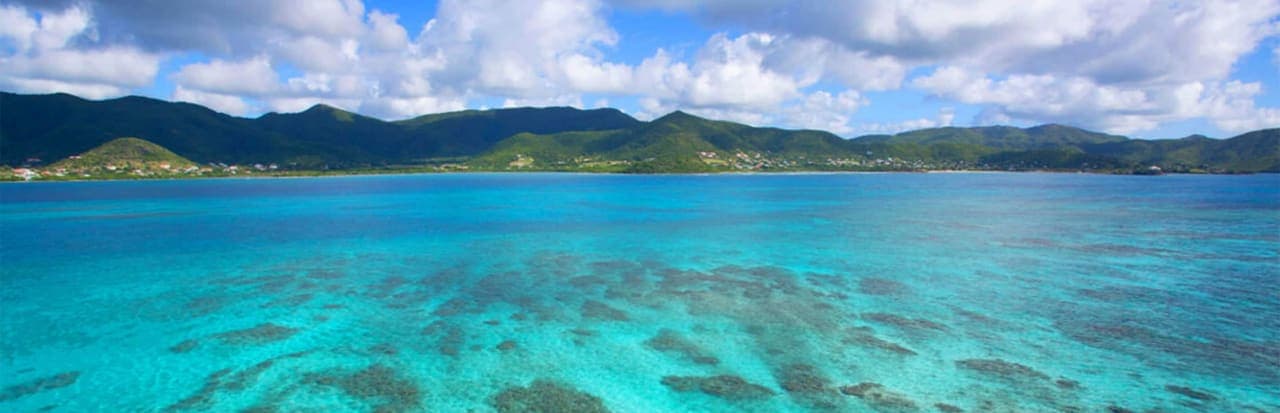 Little Bay
