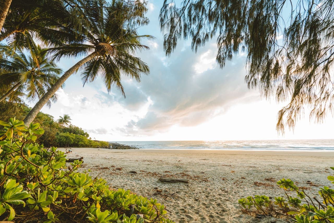 Beach and palms near Port Douglas