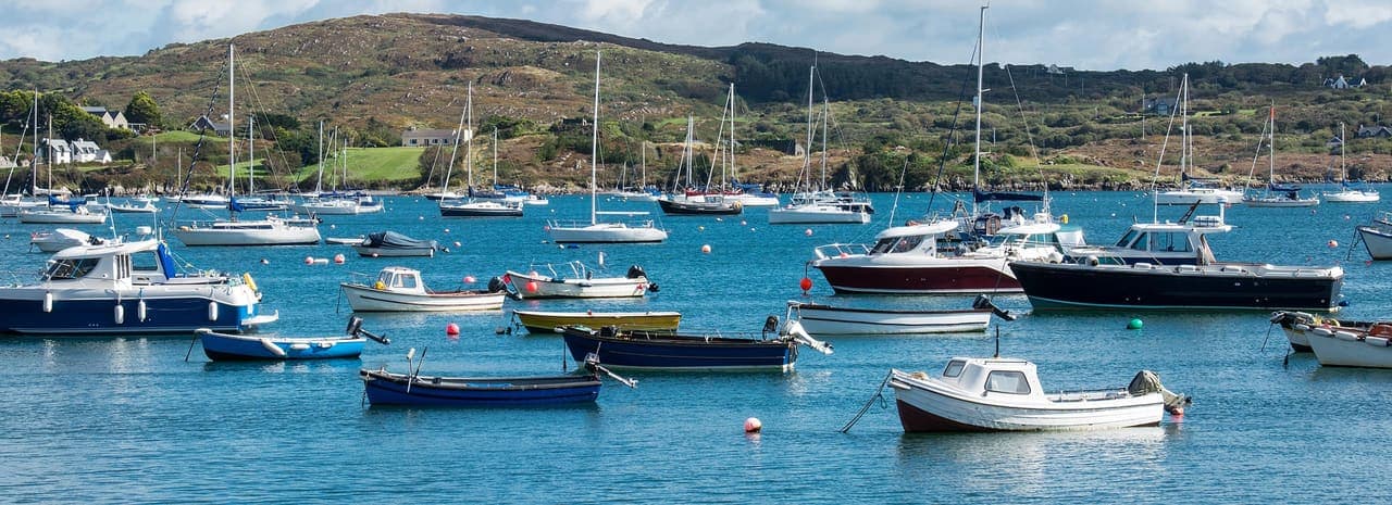 Schull