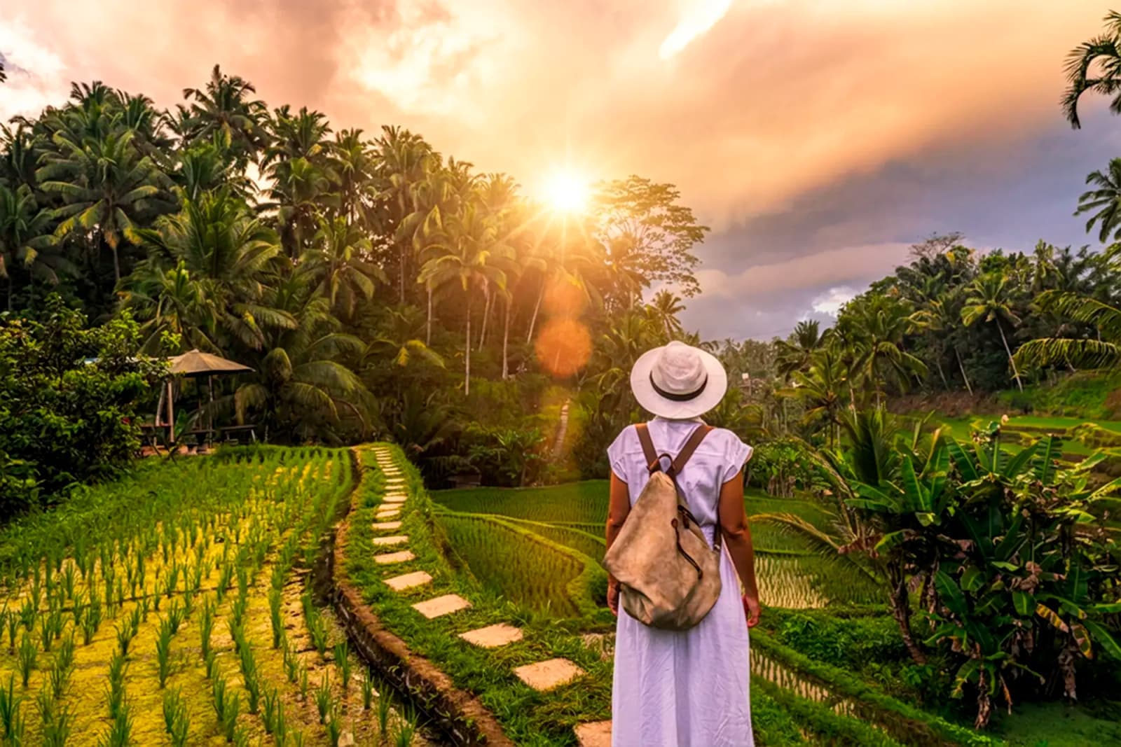Day Hero, Woman in Rice Fields, Ubud, Bali
