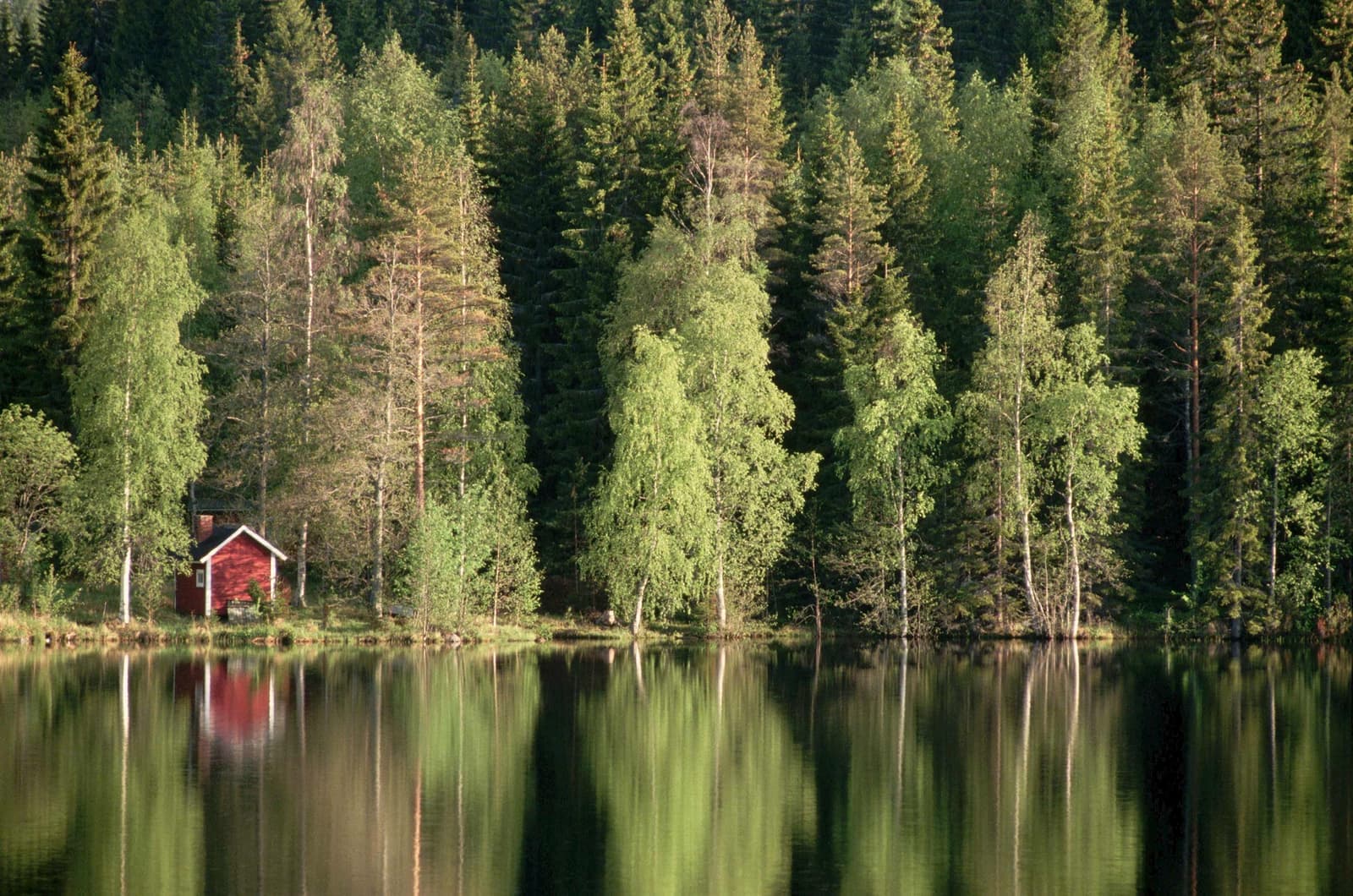 Sauna House in Finnish Forest reflected in the Lake in Jyvaskyla, Finland