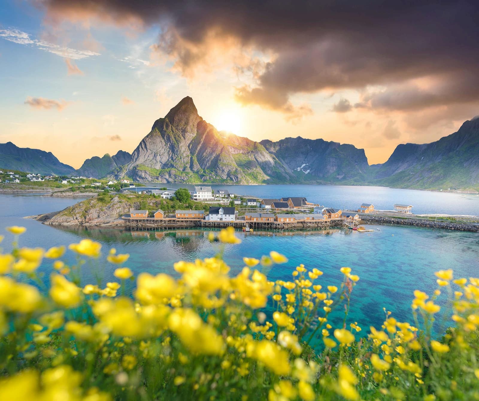 Scenic Lofoten village with mountains, turquoise water and yellow flowers at sunset
