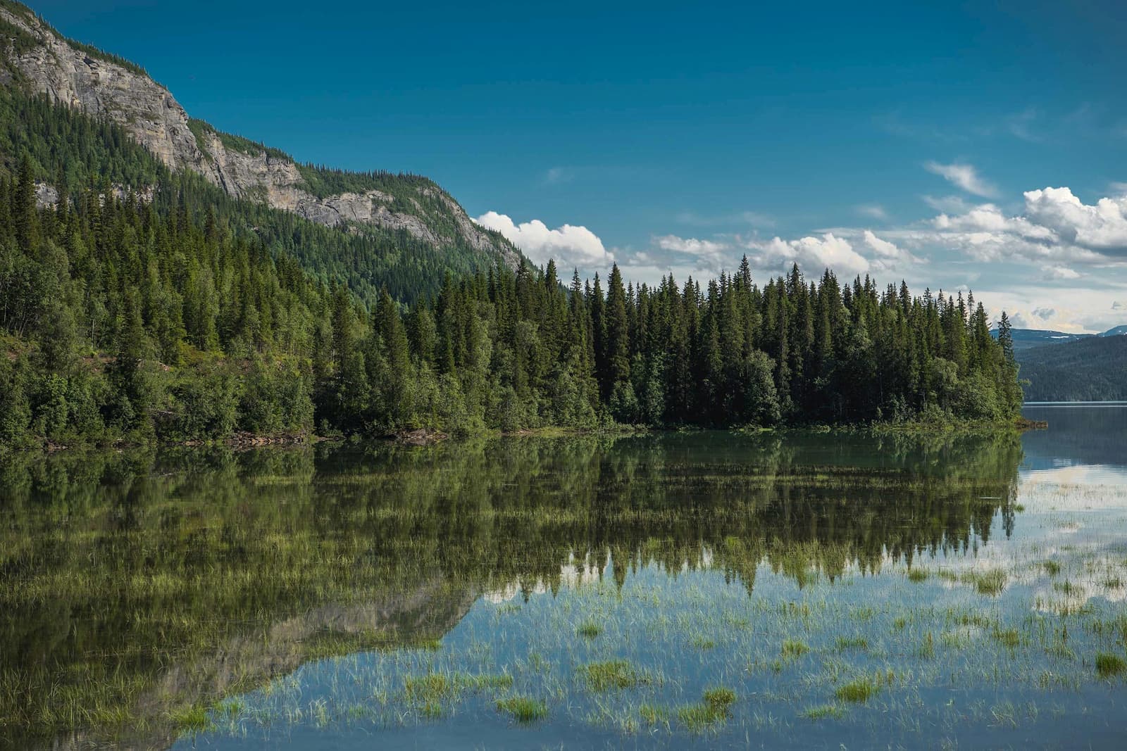 Saltfjellet-Svartisen National Park with forested mountains reflected in lake