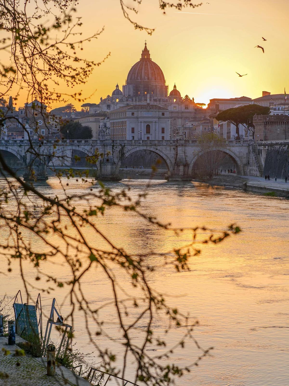 St. Peter’s Basilica at sunset viewed across Tiber River with bridge and tree branches in foreground