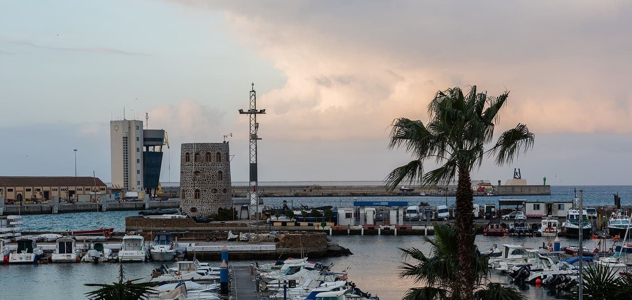 Port of Ceuta with a tower and palm at sunset