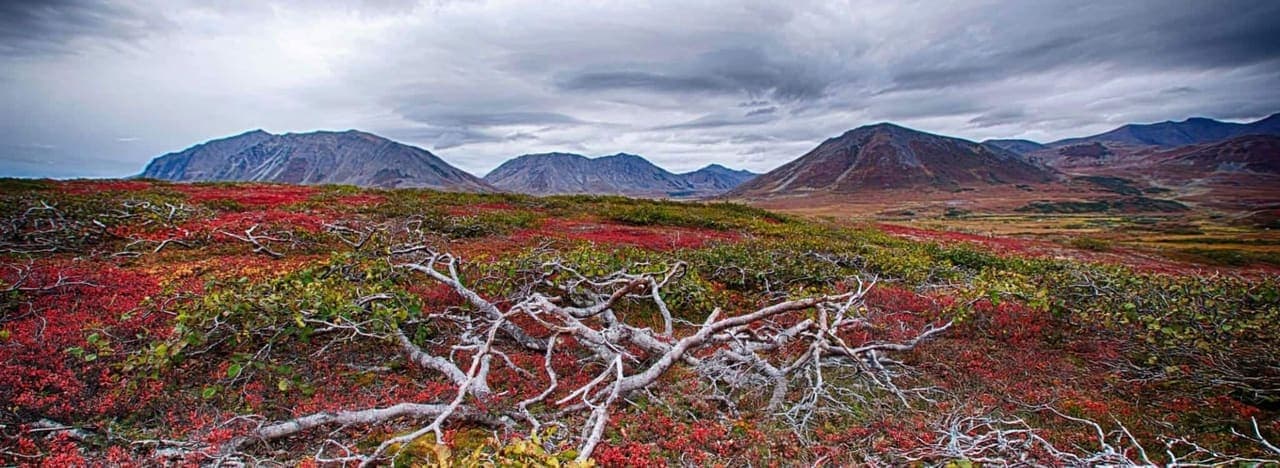 Diana Island, Nunavut