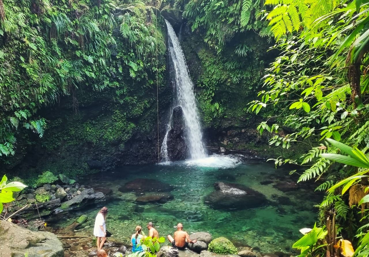 Waterfall and pool in Dominica's rainforest