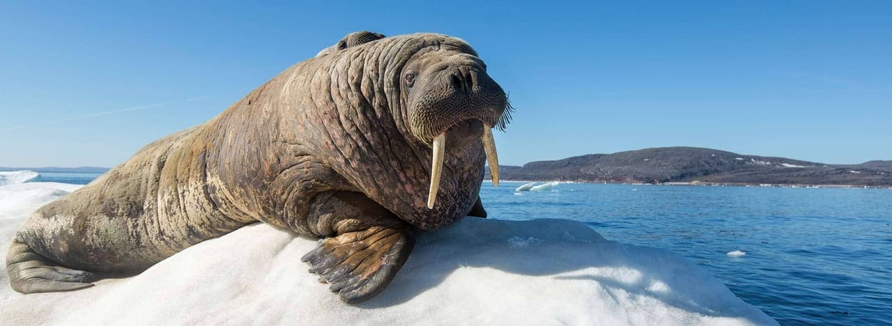 Dymond Islands, Nunavut
