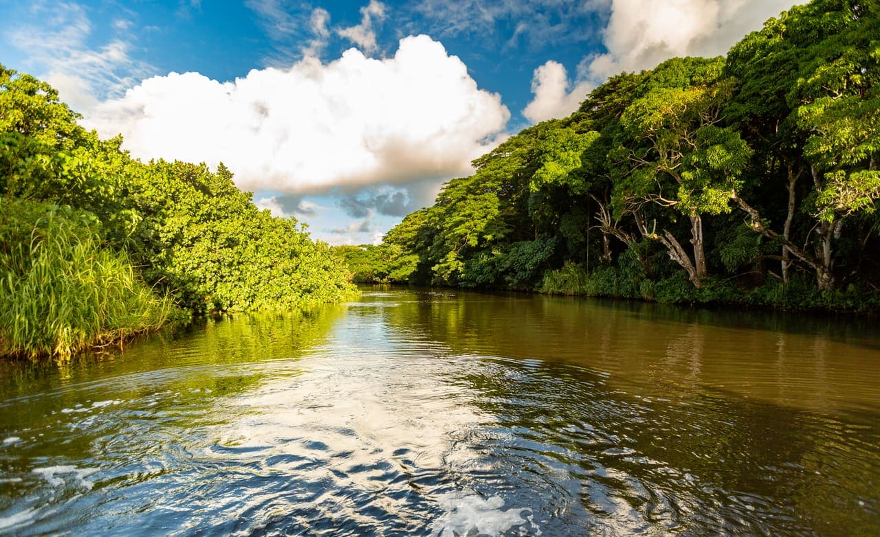 River winding through jungle on Kauai