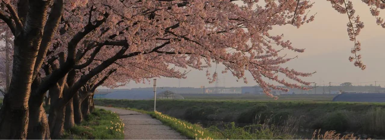 Sakata