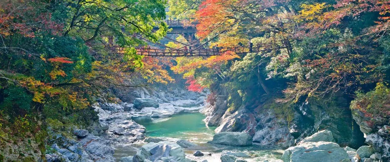 Tokushima