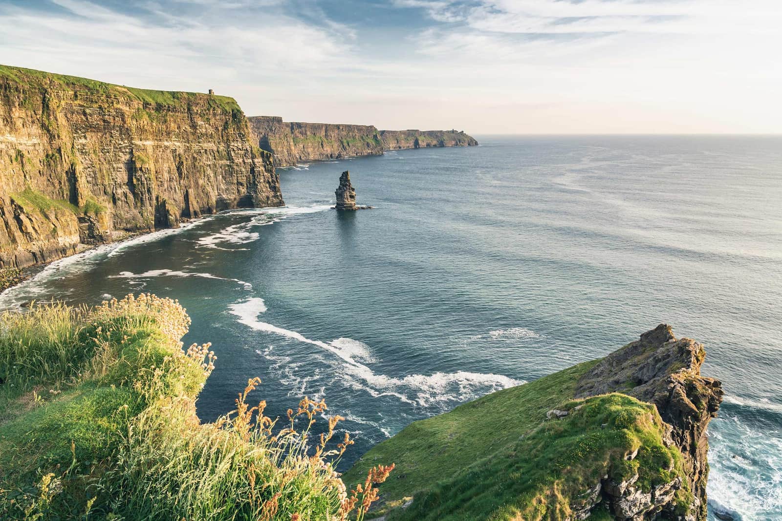 Cliffs of Moher with sea stack, wildflowers and Atlantic Ocean view