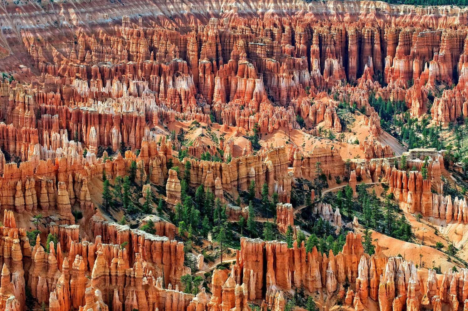Amphitheater at Bryce Canyon National Park in Utah, USA