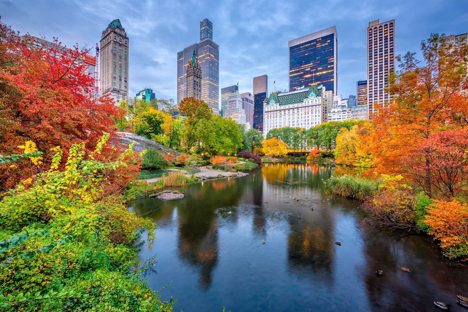 Central Park during autumn in New York City, USA