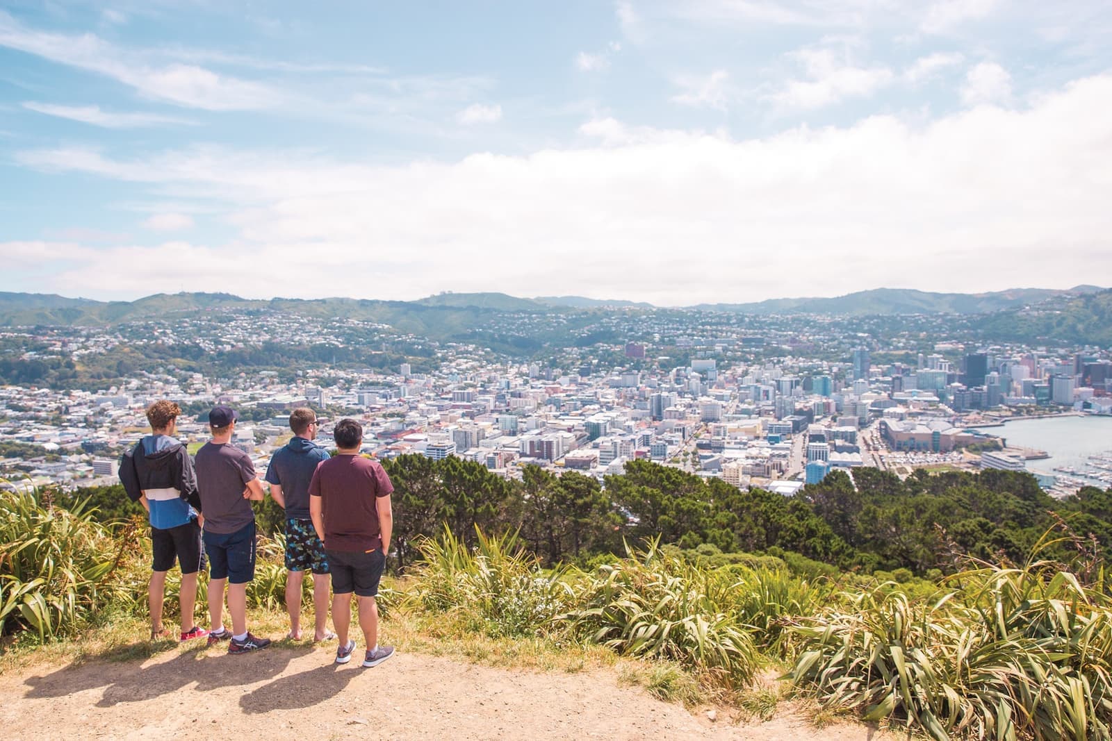 Travellers at Mount Victoria looking over Wellington, New Zealand