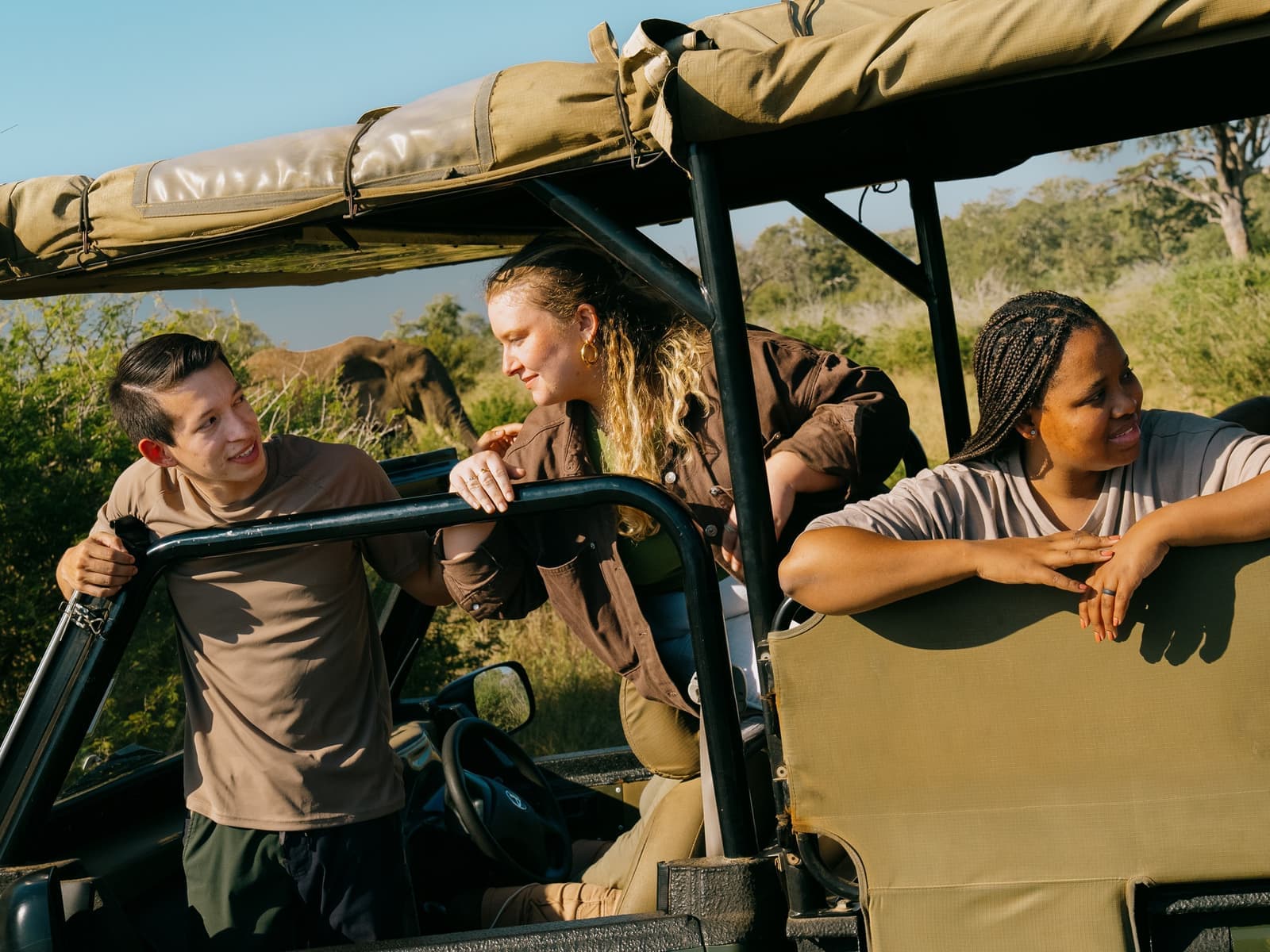 Travellers Watching from Safari Vehicle in Kruger National Park, South Africa