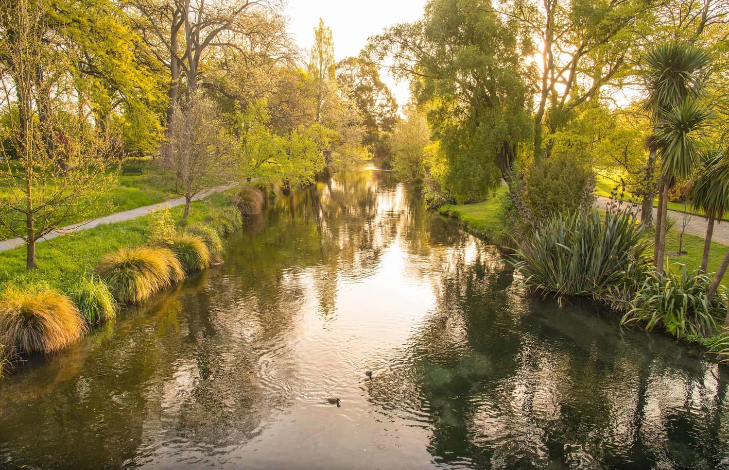 River Avon Christchurch