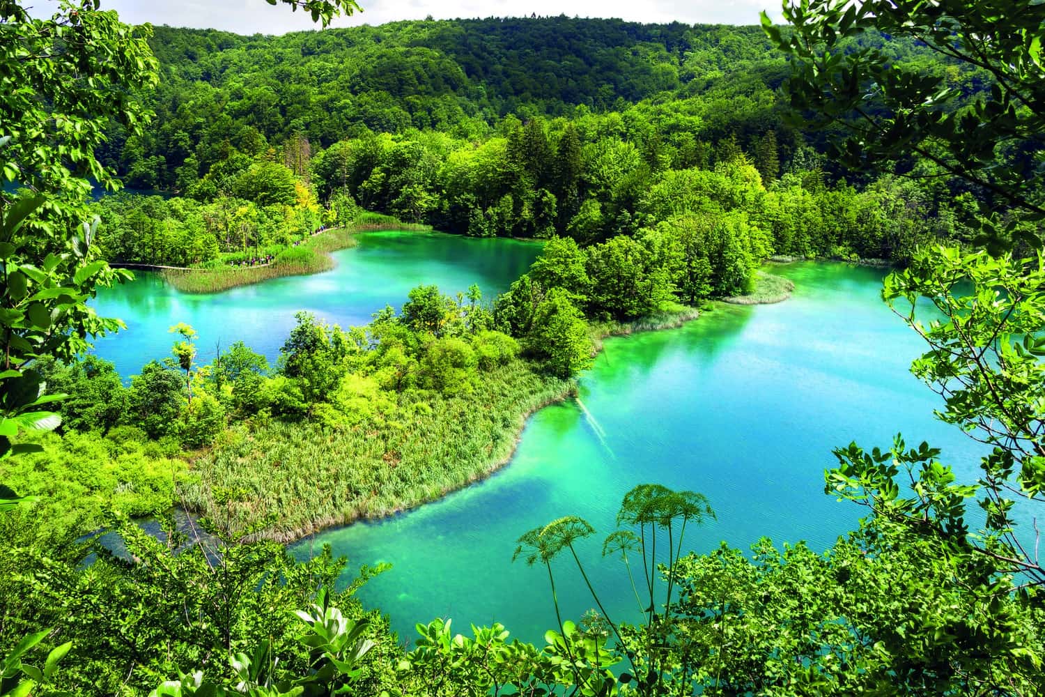 Walk through the Plitvice National Park