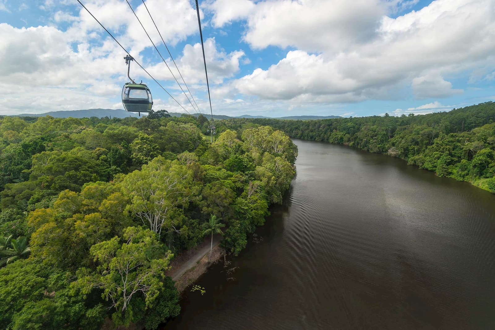 skyrail rainforest cableway Cairns
