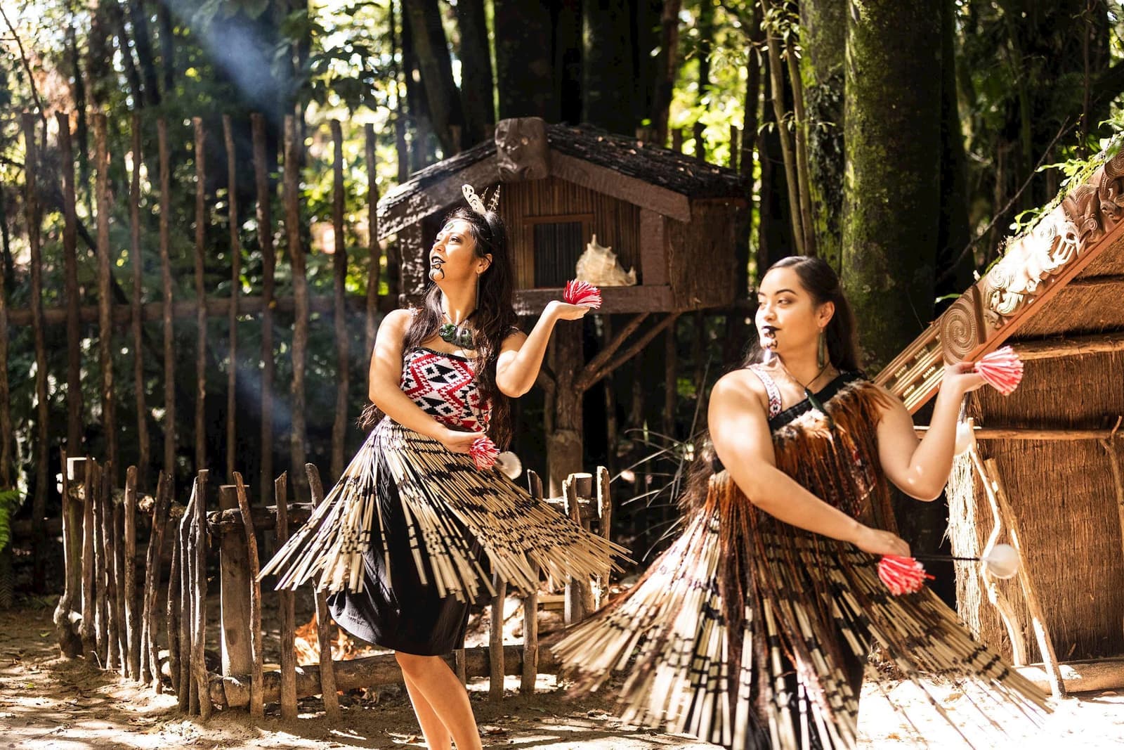 Poi Performance, Rotorua