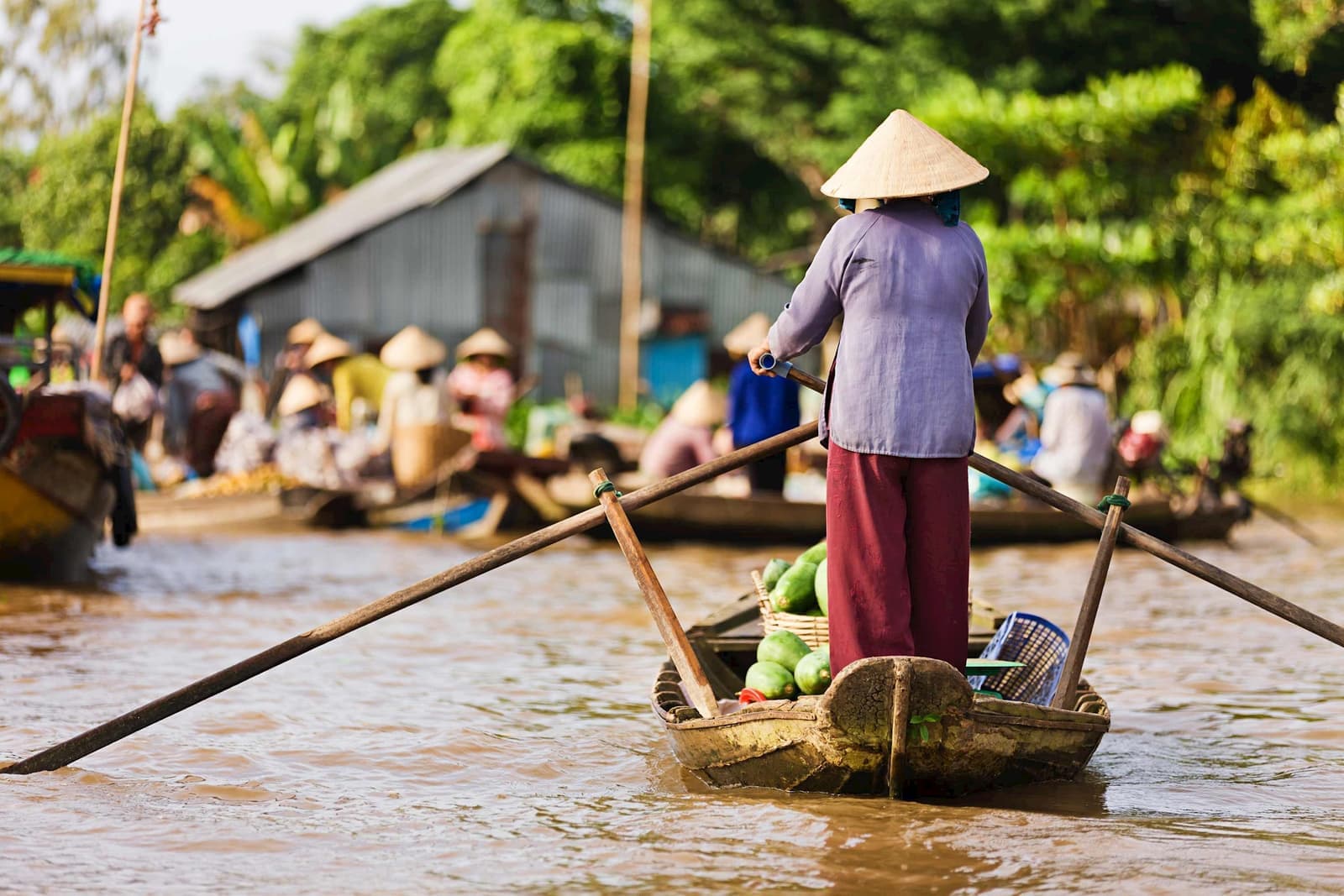 Local vendor rowing a wooden boat on muddy river, Mekong Delta, Vietnam