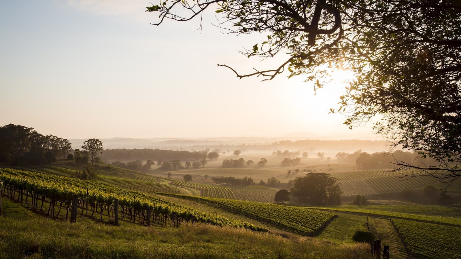 Sun-setting over the Hunter Valley Wine Region, Australia