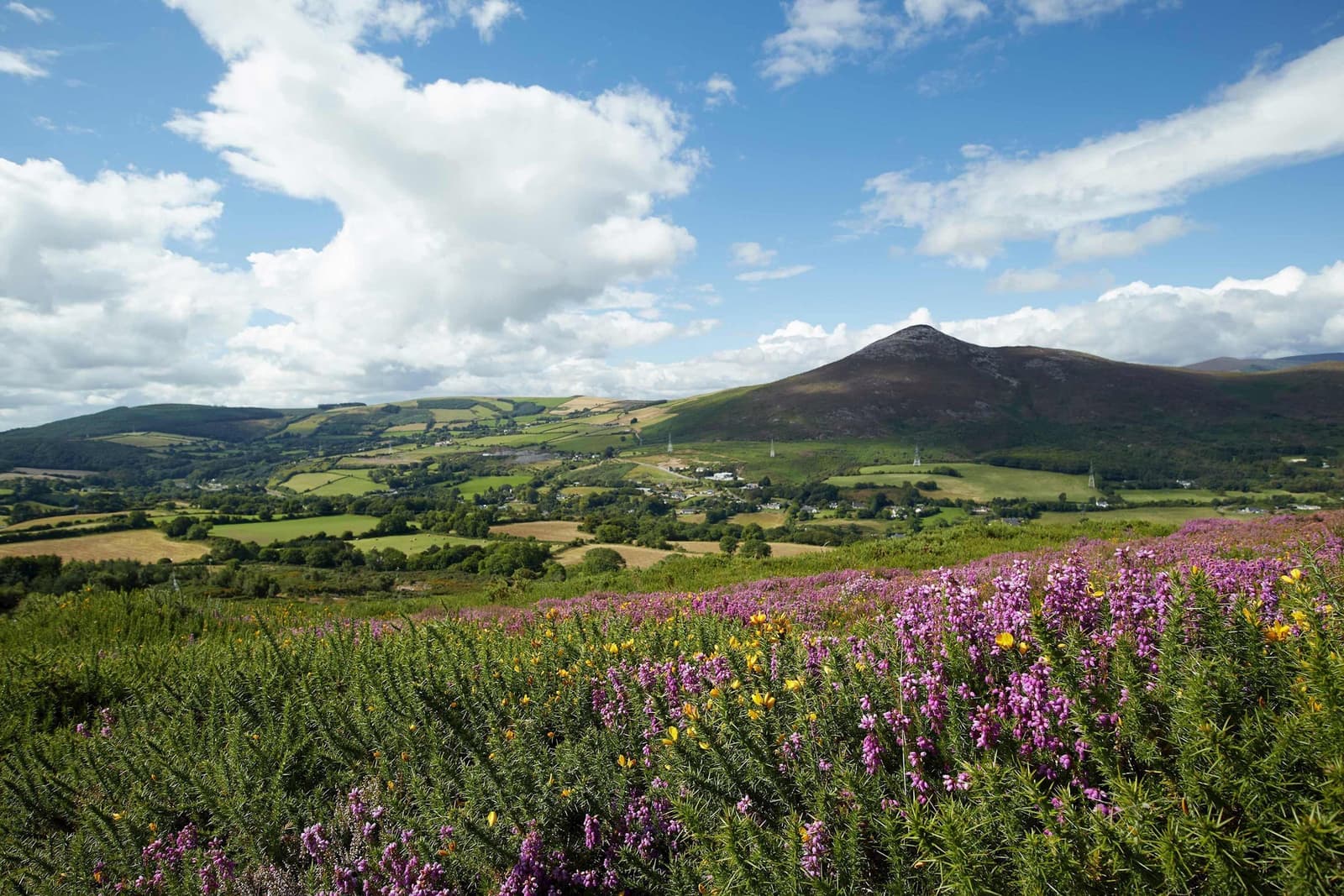 A scenic view of the Sugarloaf Mountain in Wicklow, Ireland