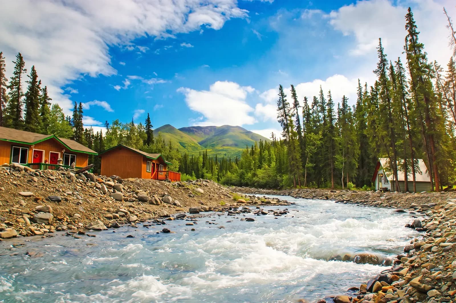 Day Hero Scenery Outside Cottage, Denali National Park, Alaska