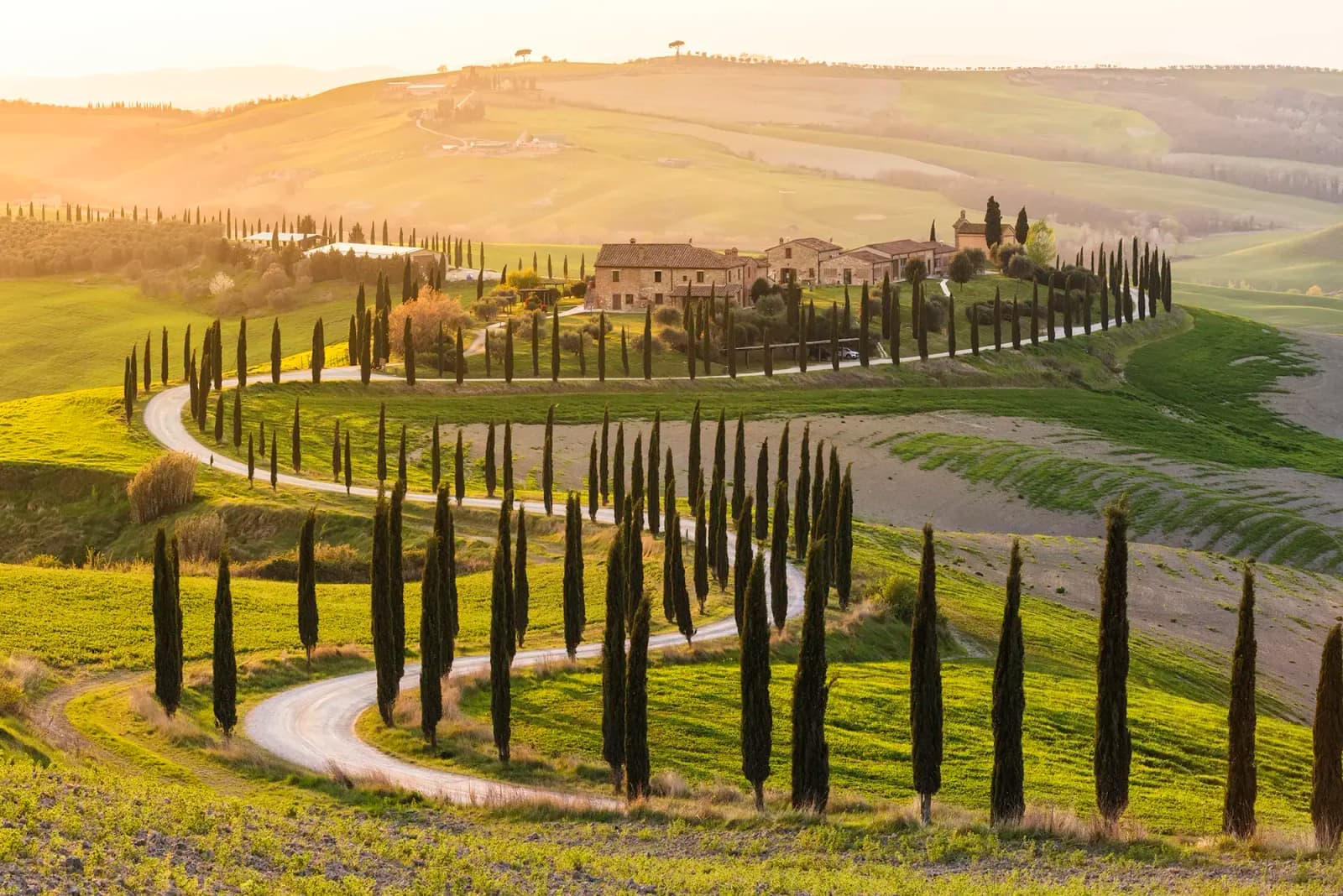 Winding cypress-lined road through the countryside in Tuscany, Italy, with farmhouses and rolling hills.