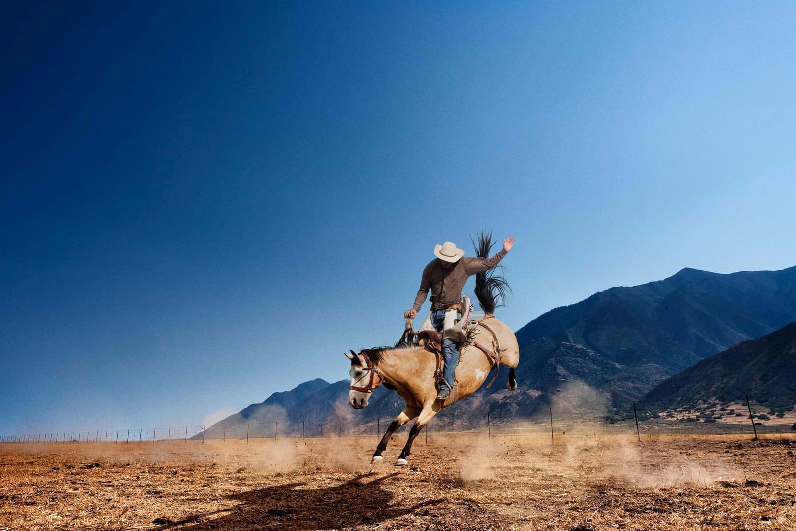 Cowboy riding horse in Cody, Wyoming, USA