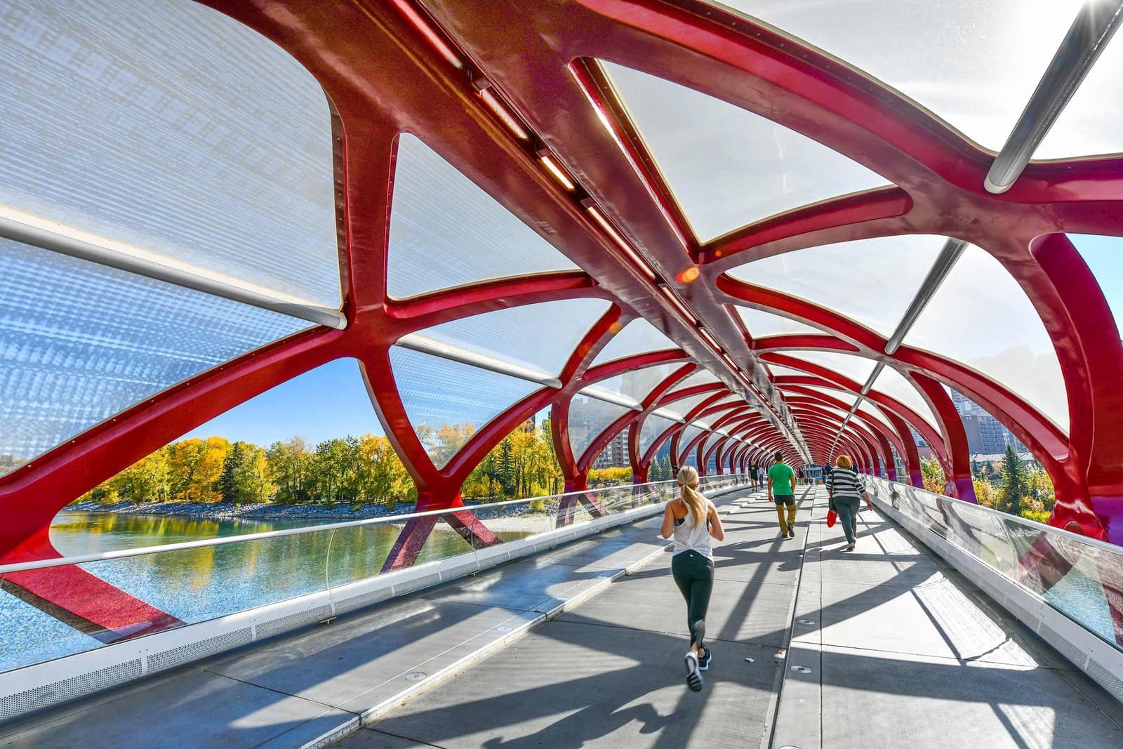 The Peace Bridge in Calgary, Canada