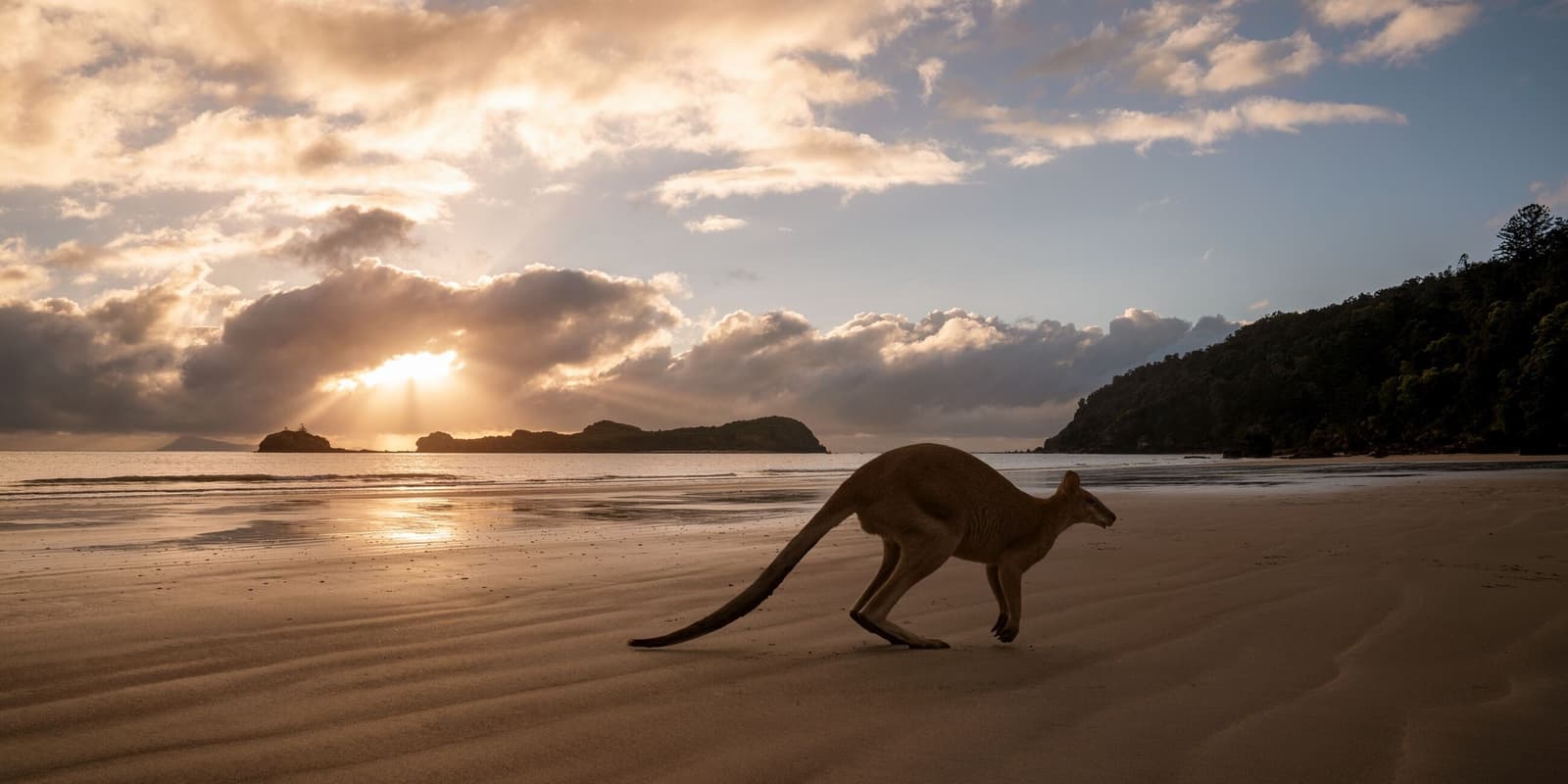 Kangaroo Island