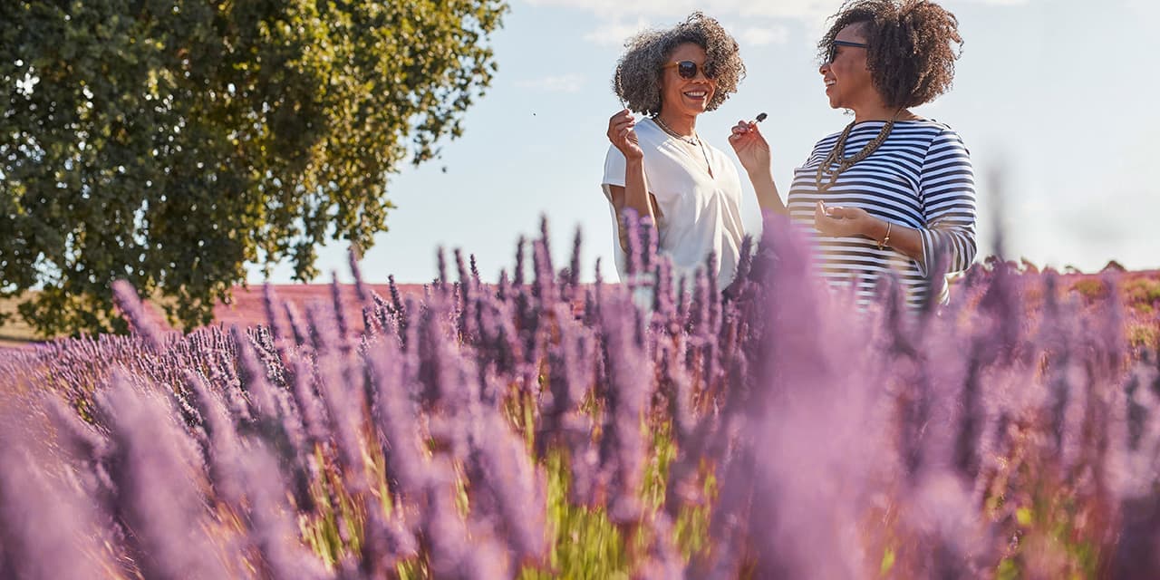 Women Smelling Laveder Bridestowe Lavender Estate Tasmania