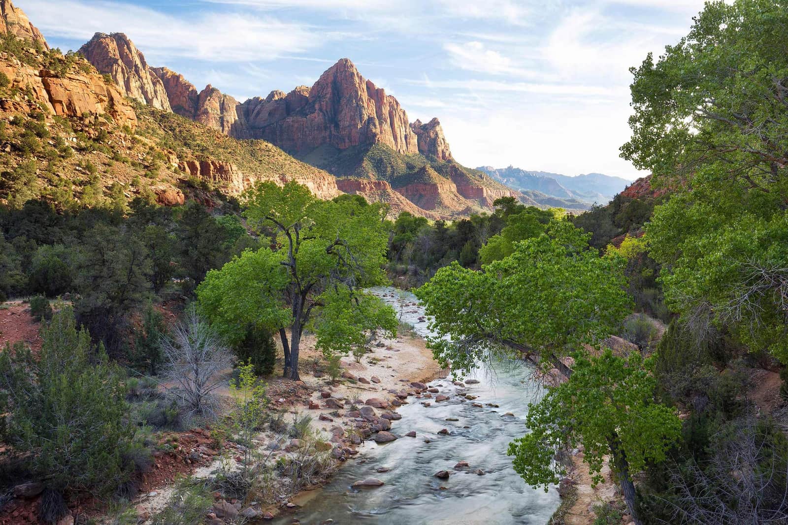 A scenic view of Zion National Park