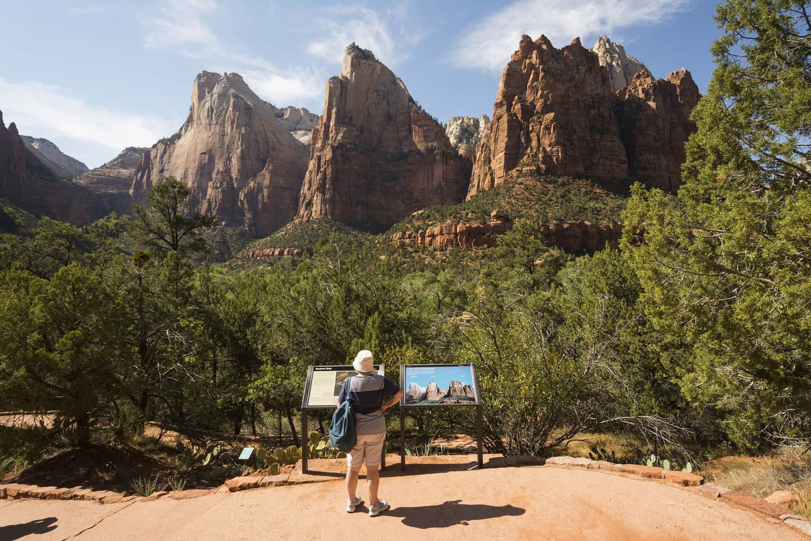 A tourist looking at Zion Canyon in Utah, USA