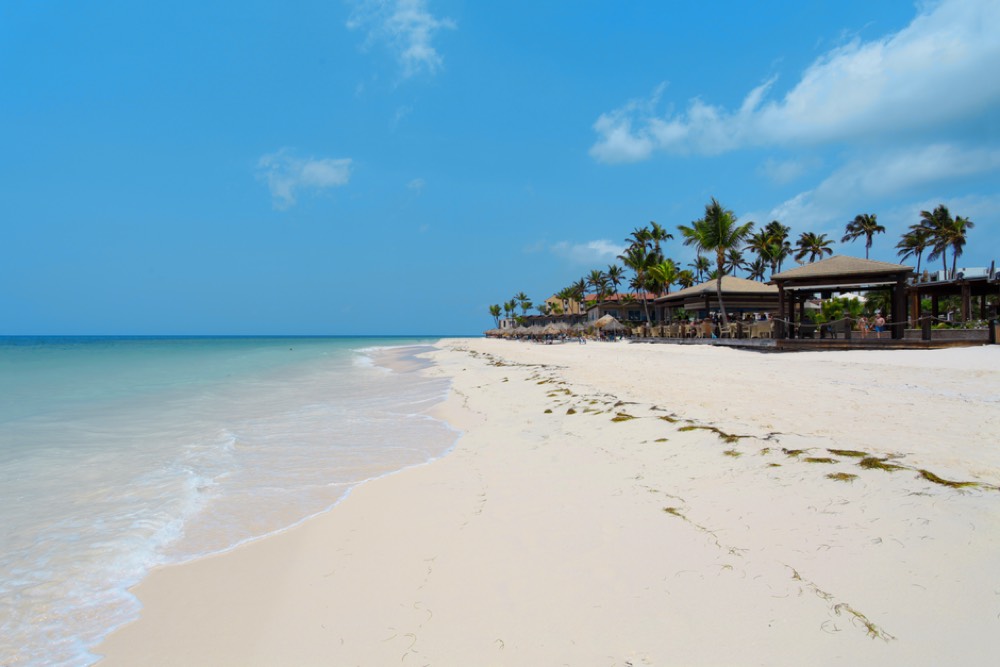 Palm Beach