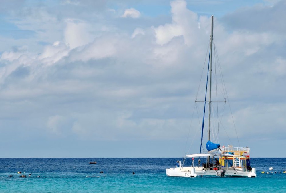 Snorkel sail to the west coast reefs