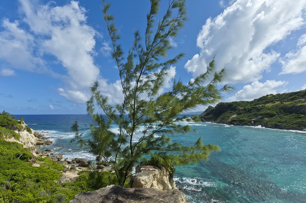 East coast and gardens