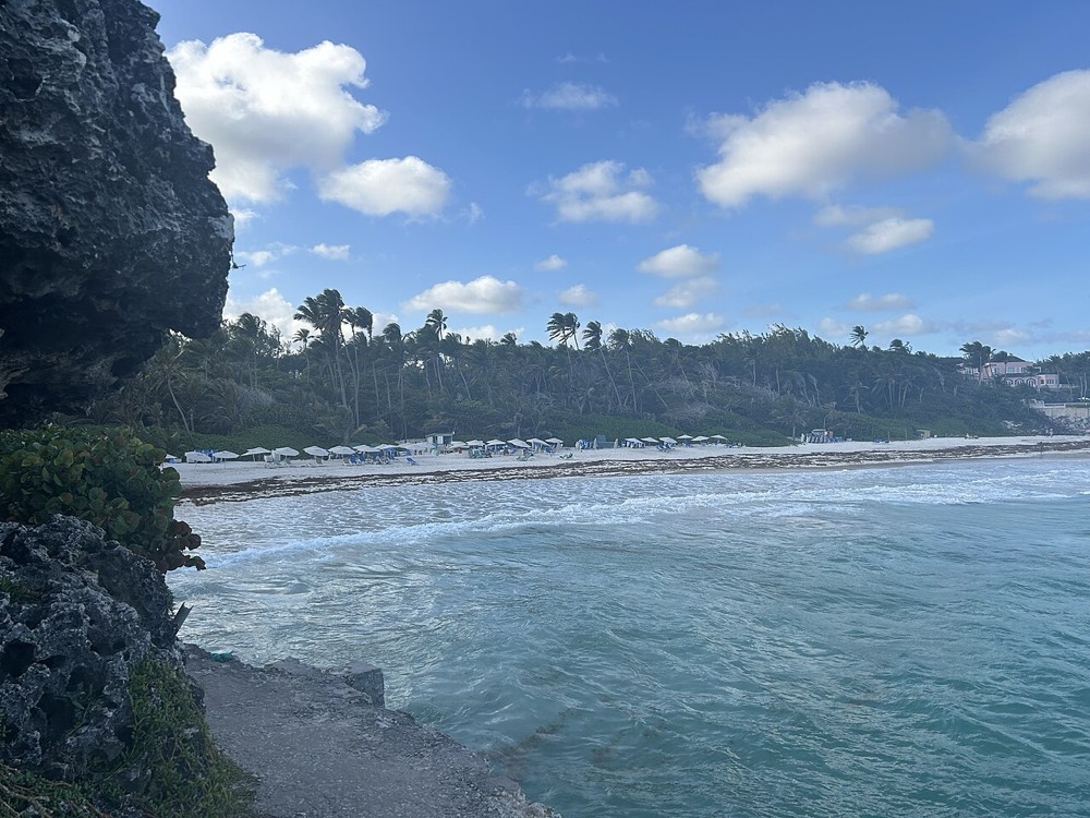 Crane Beach