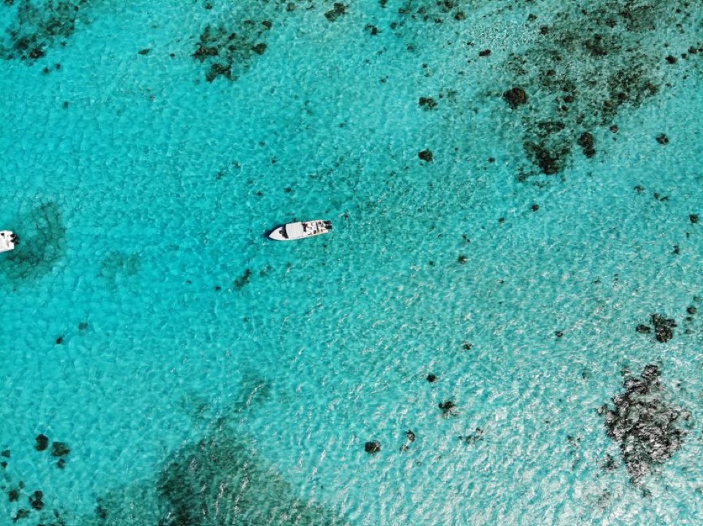 Hol Chan and Shark Ray Alley snorkel