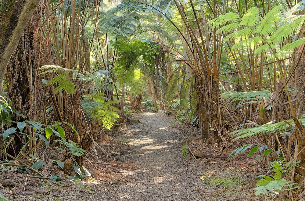 Hawaii Volcanoes National Park