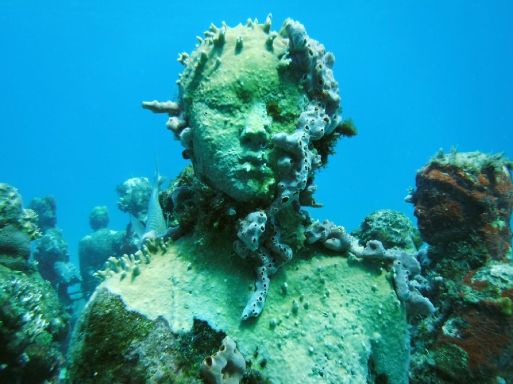 Punta Nizuc reef