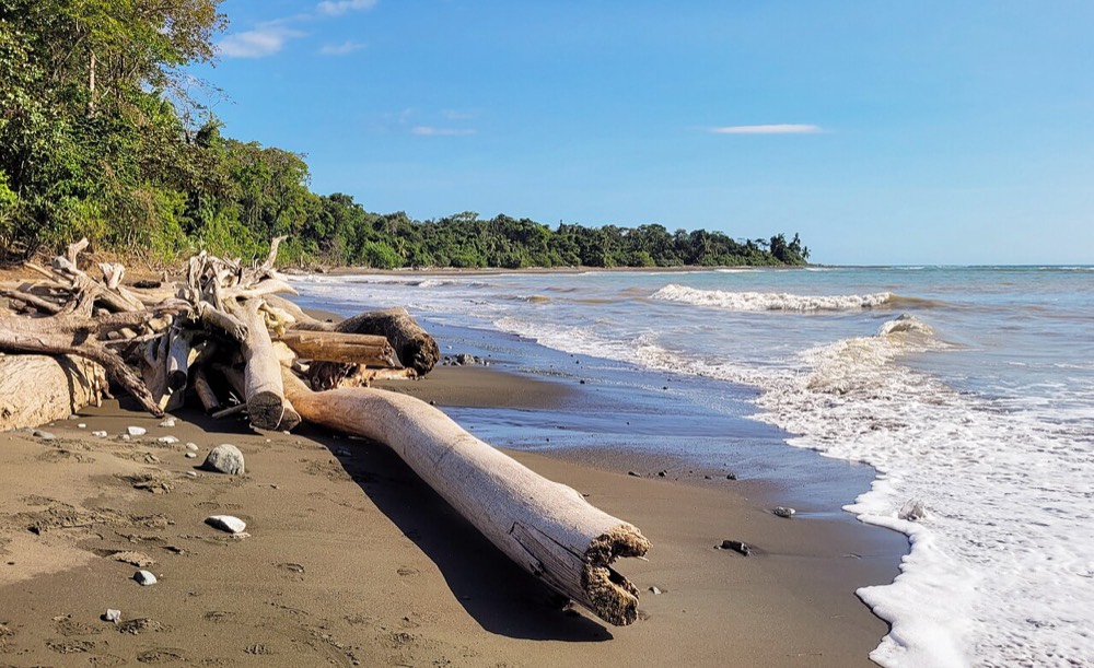 Corcovado National Park