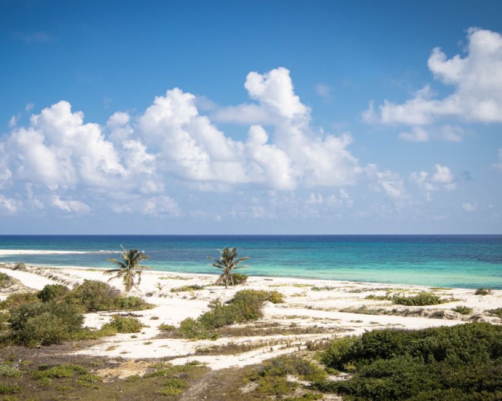 Punta Norte beach