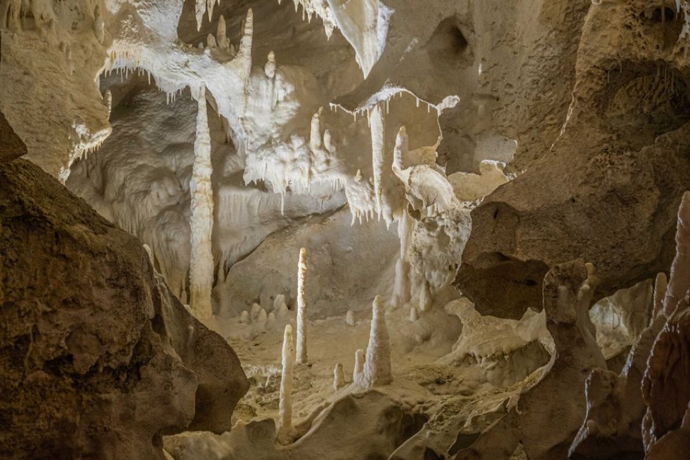 Botanic Park and Crystal Caves
