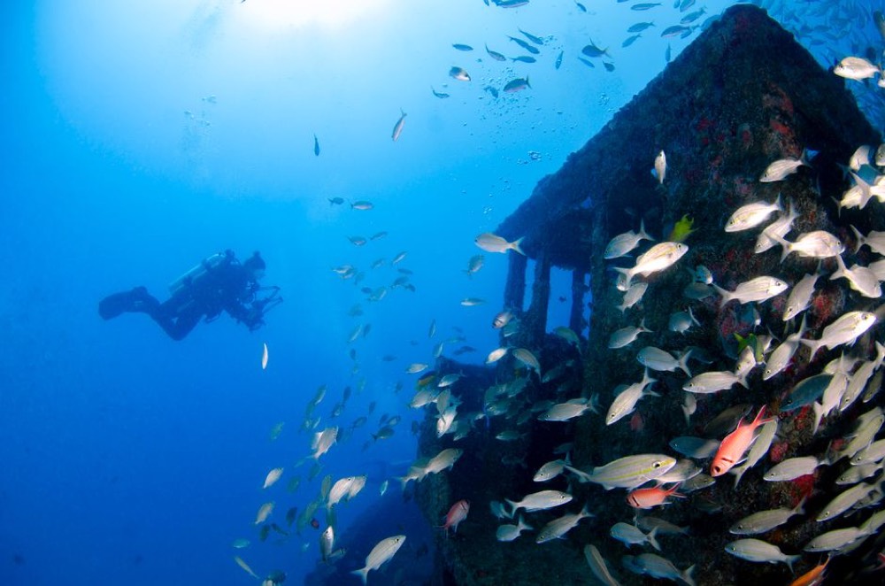Kittiwake Shipwreck