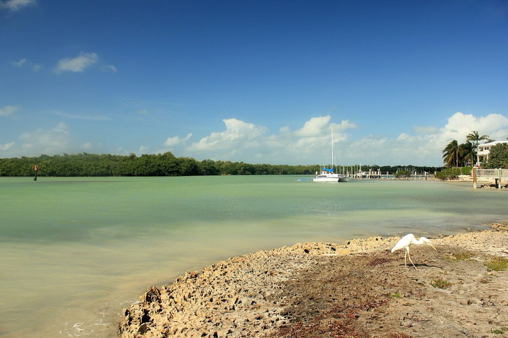 Stock Island