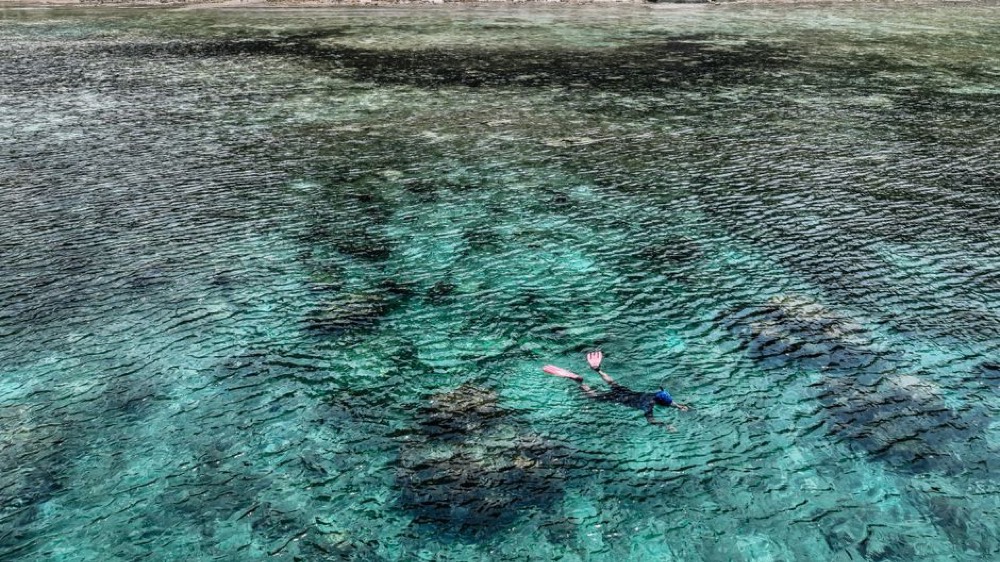 Looe Key reef