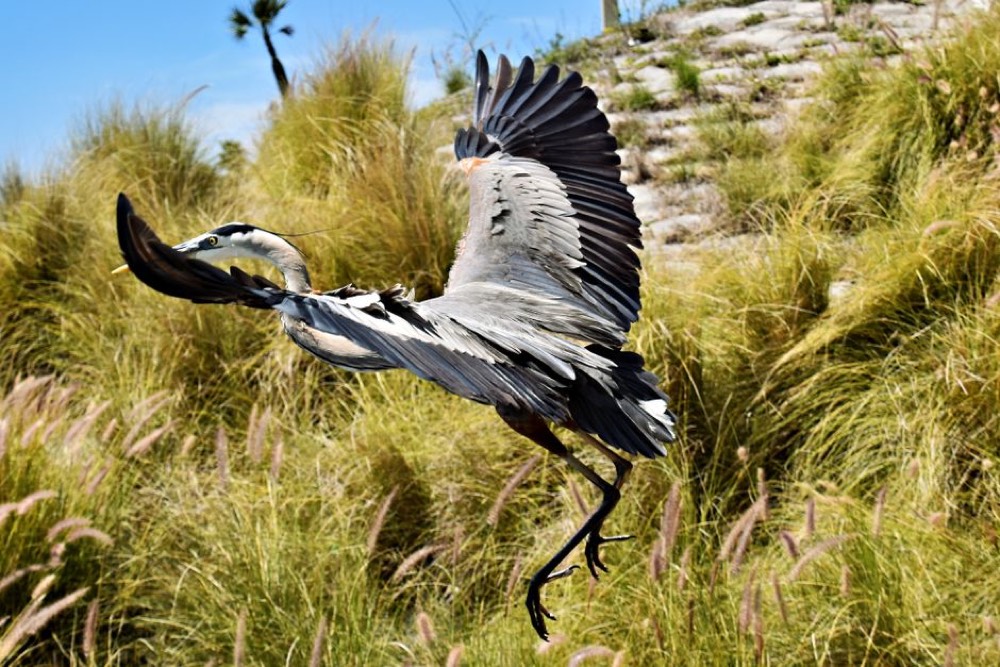 Florida Keys Eco-Discovery Center